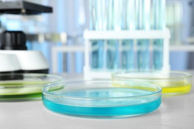 Photo of Petri dish with liquid on white table. Laboratory analysis