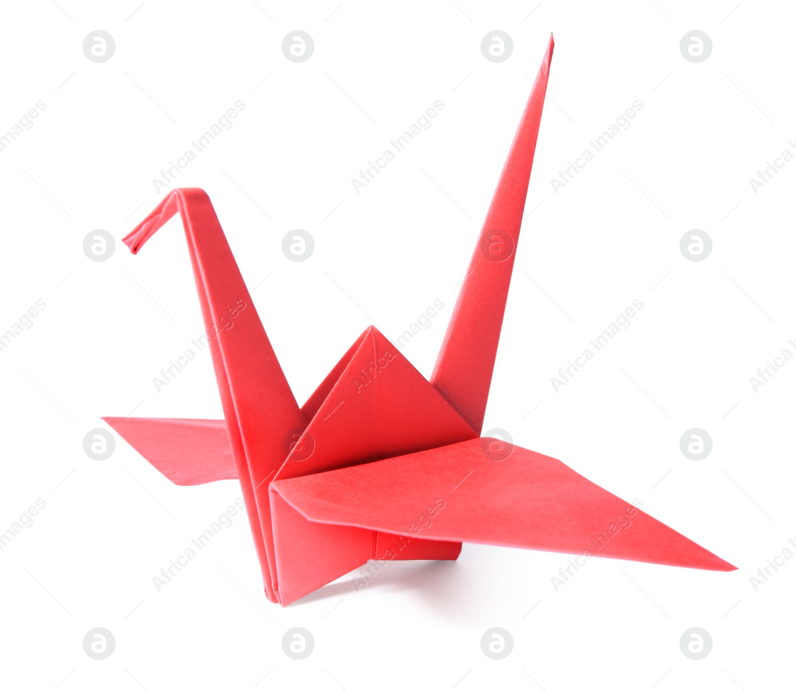 Photo of Origami art. Beautiful red paper crane isolated on white