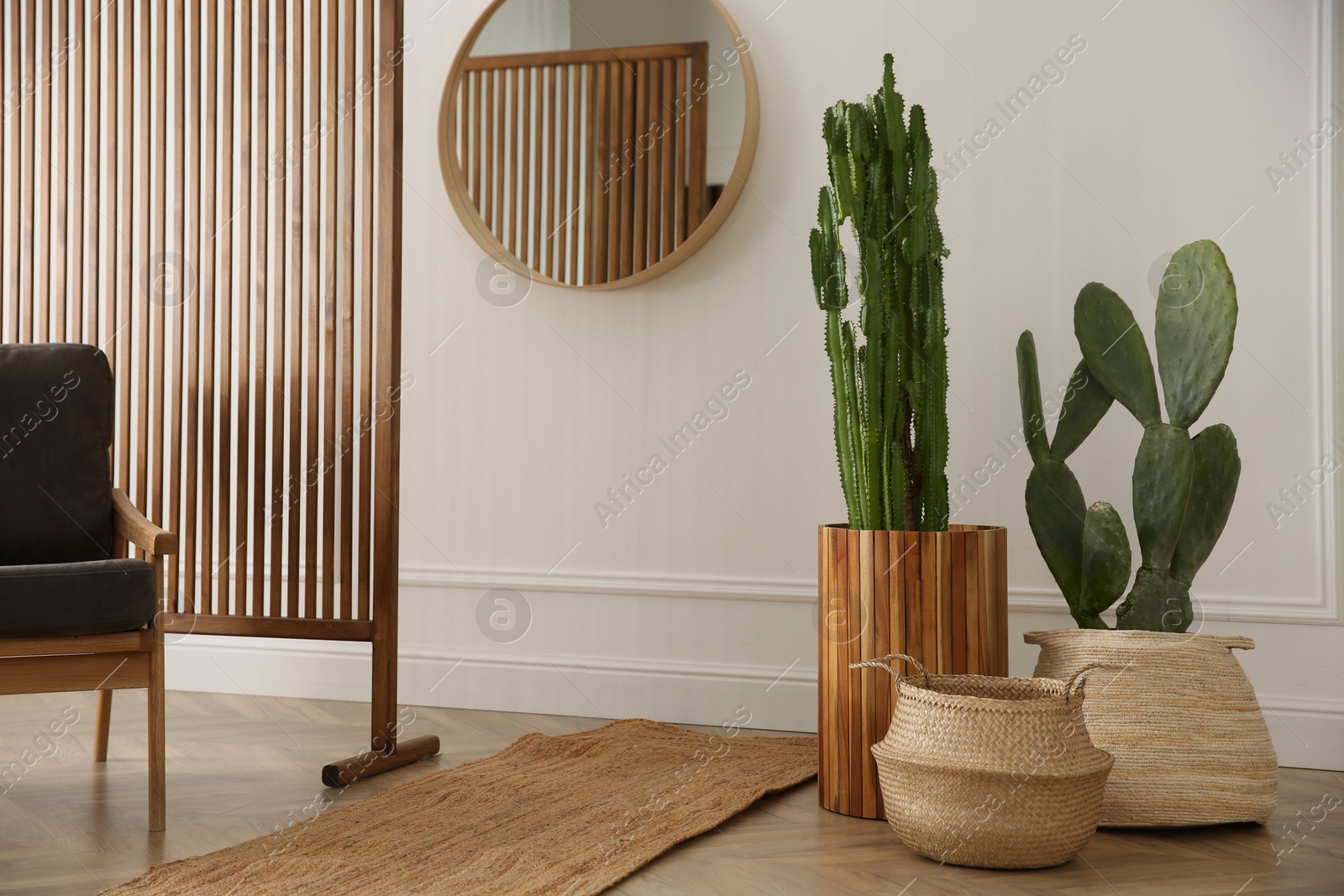 Photo of Stylish room interior with beautiful potted cacti