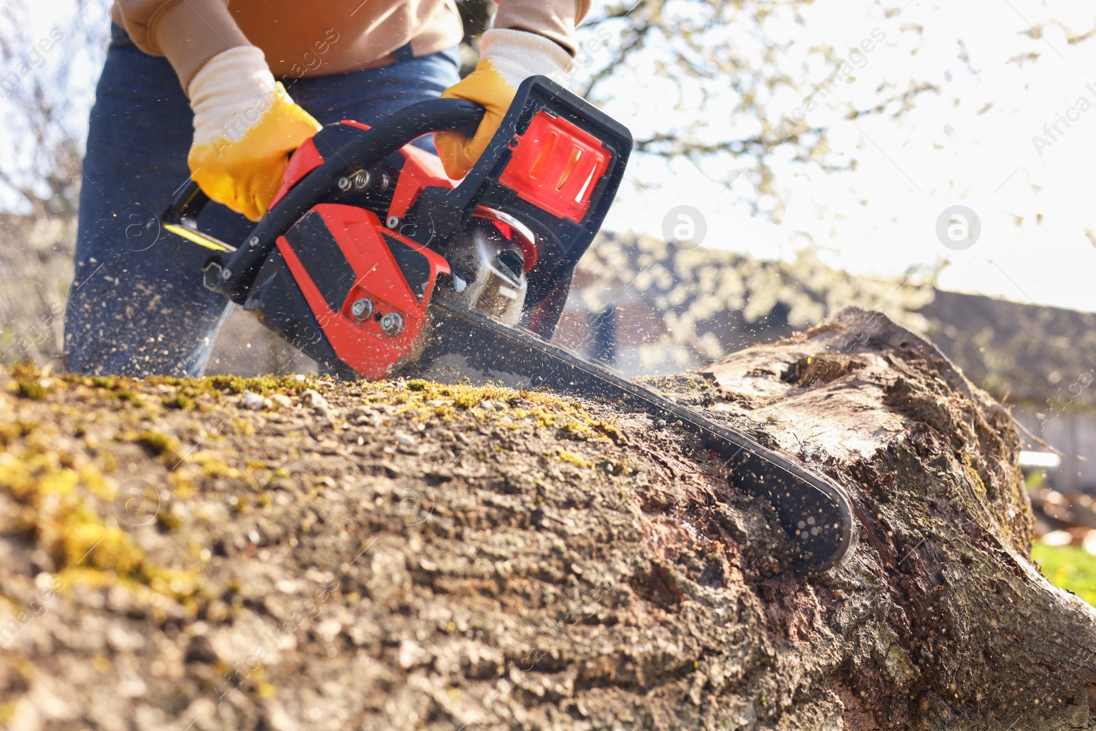 Photo of Man sawing wooden log on sunny day, closeup