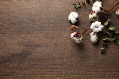 Photo of Dry cotton branch with fluffy flowers and leaves on wooden table, flat lay. Space for text