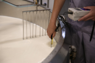 Worker checking milk temperature in curd preparation tank at cheese factory, closeup