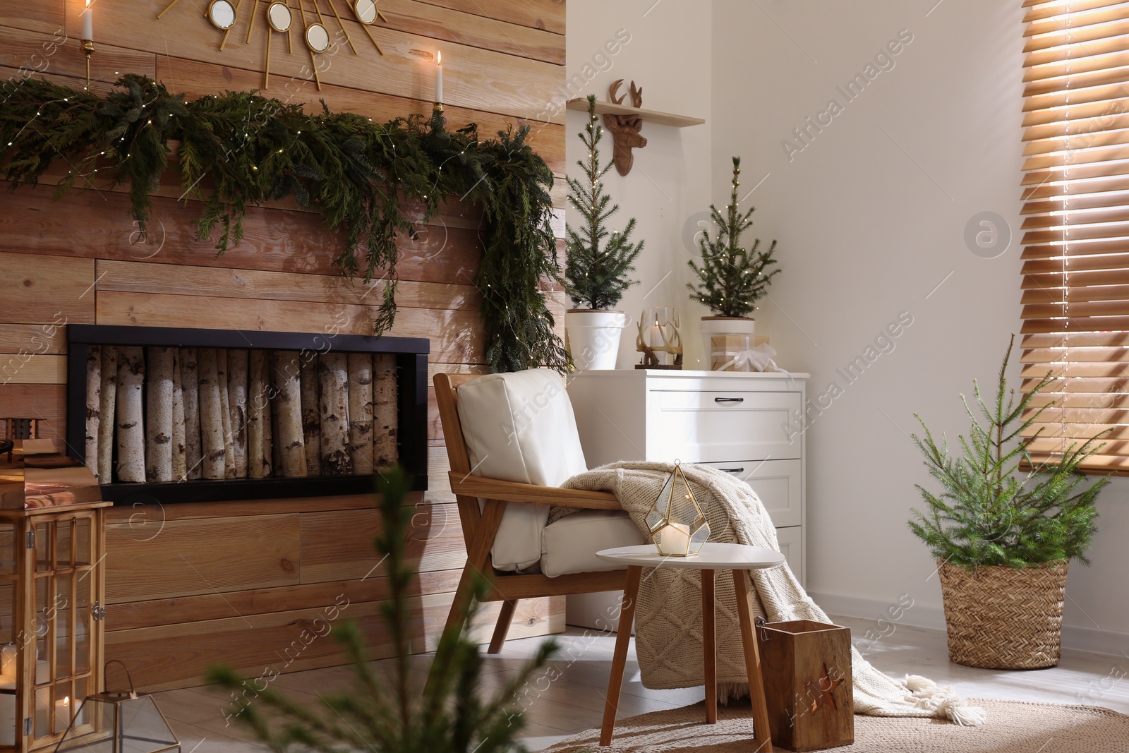 Photo of Beautiful room decorated for Christmas with potted firs. Interior design