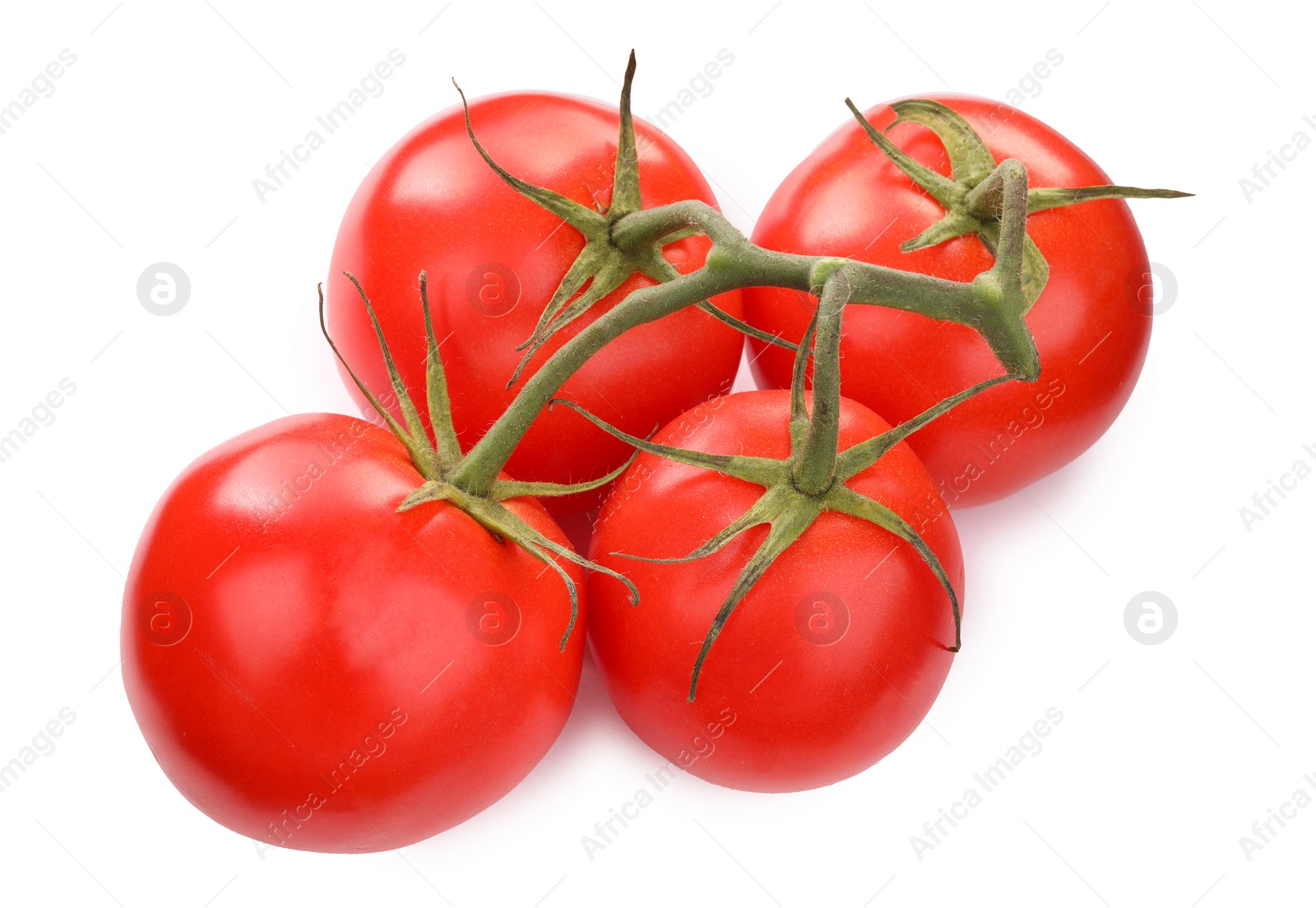 Photo of Branch of red ripe tomatoes isolated on white, top view