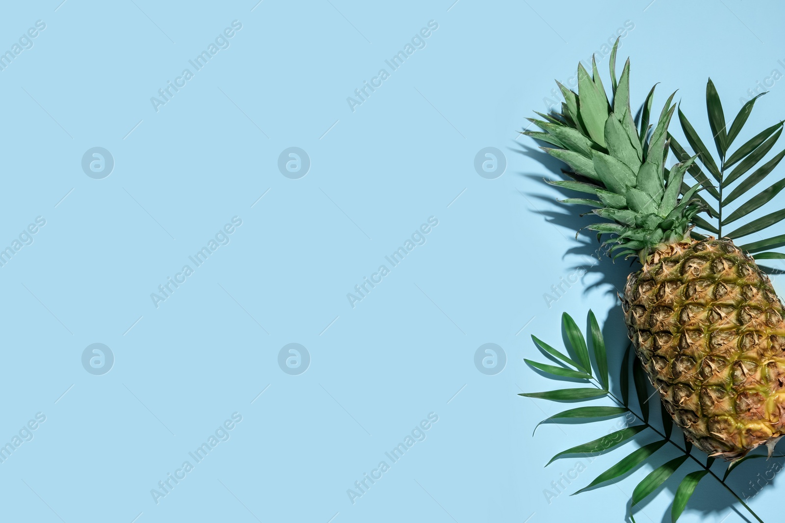 Photo of Whole ripe pineapple and green leaves on light blue background, flat lay. Space for text