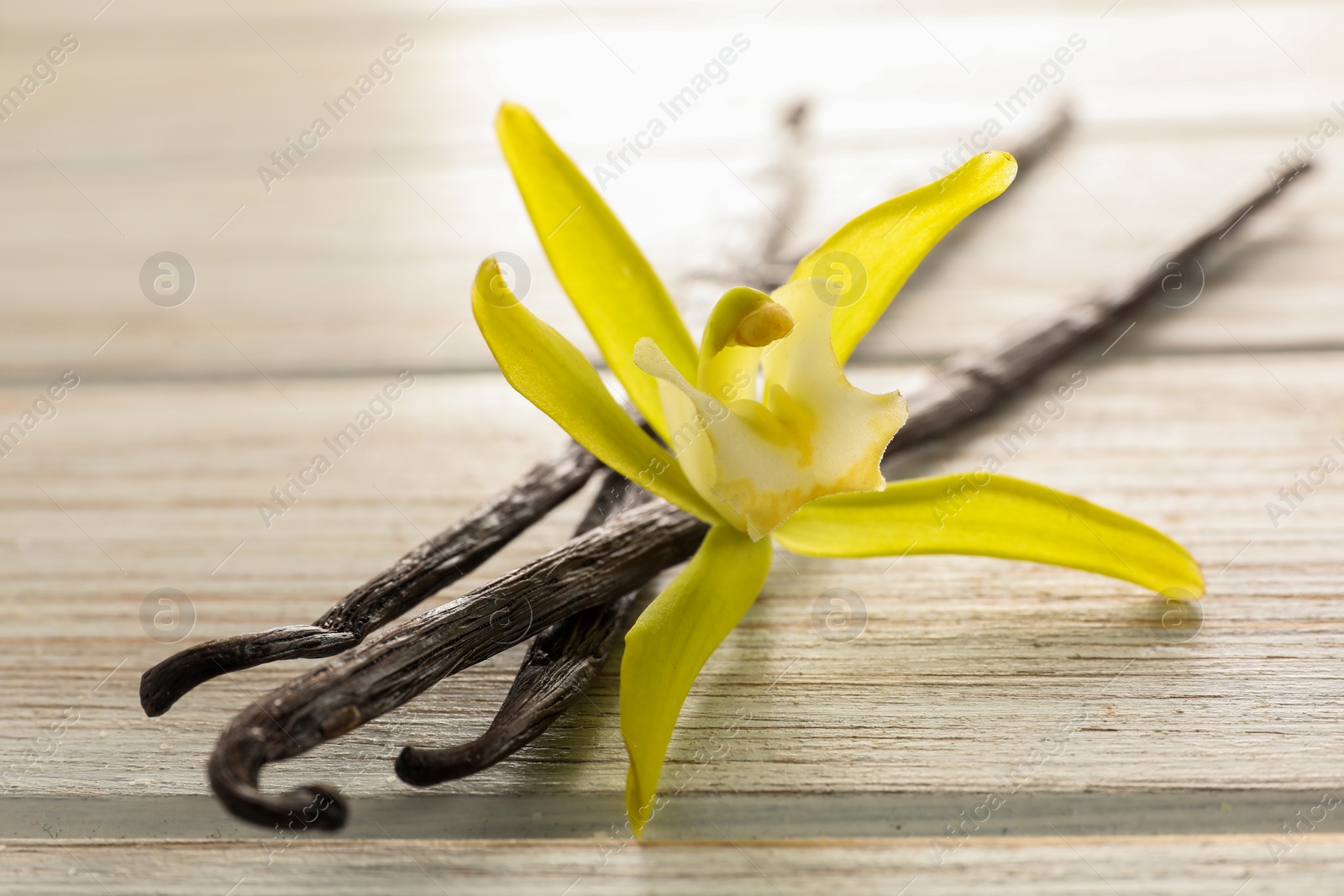 Photo of Vanilla pods and beautiful flower on white wooden table, closeup