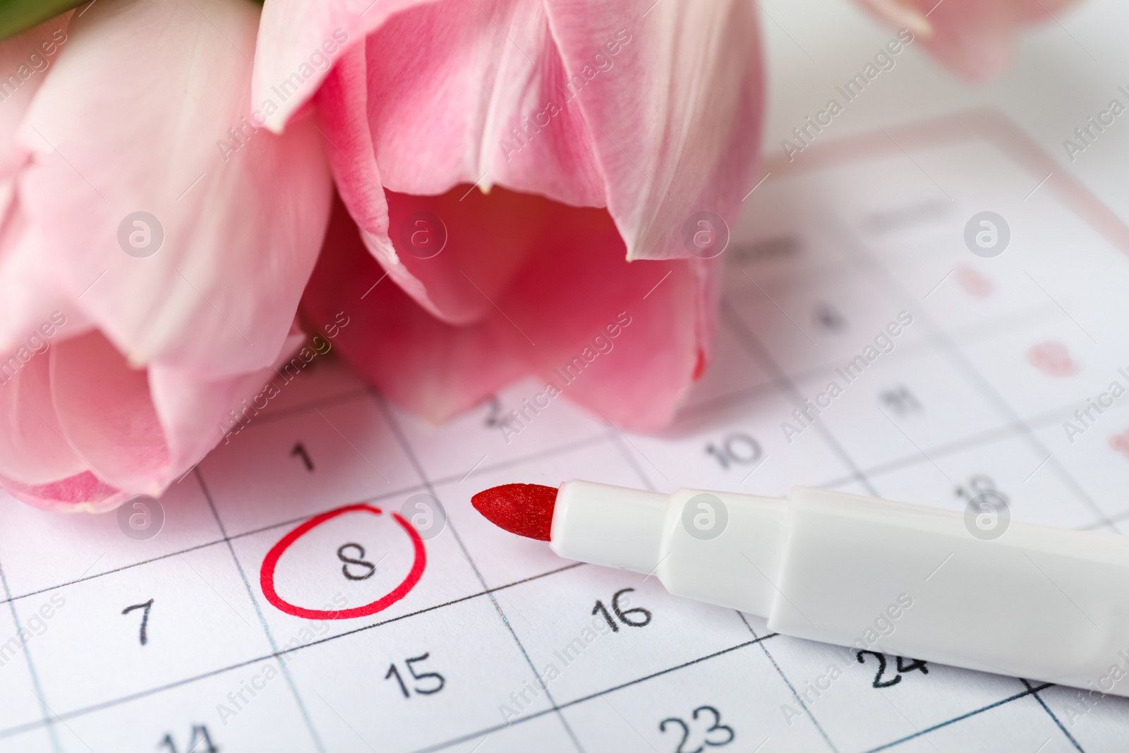 Photo of Tulips and red marker on calendar near date 8th of March, closeup. International Women's Day