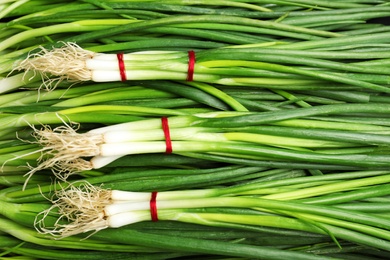 Photo of Fresh green onions as background, top view