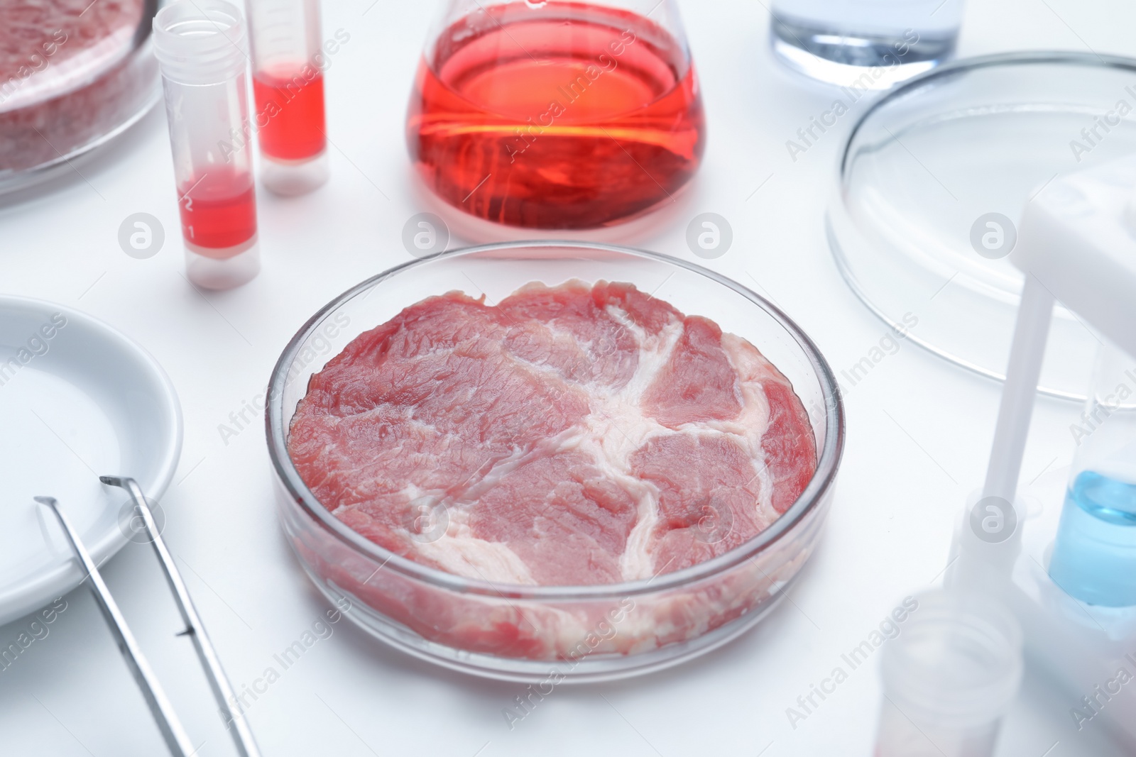 Photo of Sample of cultured meat on white lab table