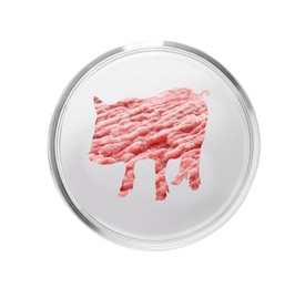 Image of Pig silhouette with pork mince in petri dish on white background. Cultured meat concept