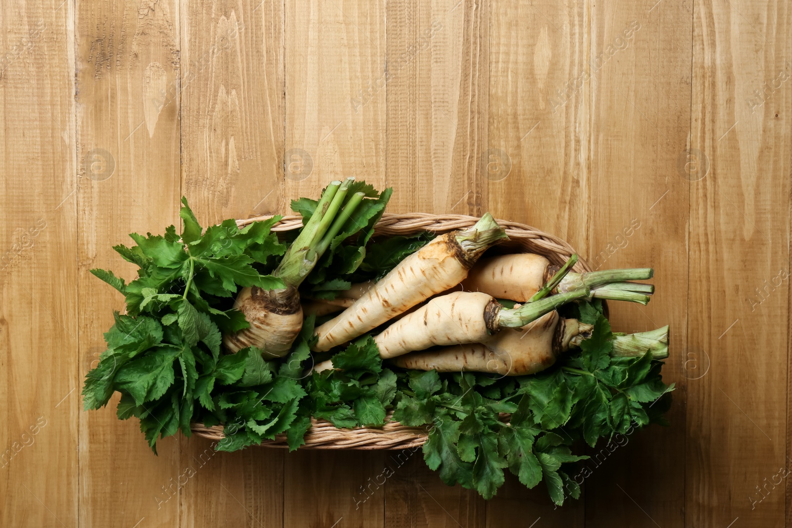 Photo of Tasty fresh ripe parsnips in wicker basket on wooden table, top view. Space for text