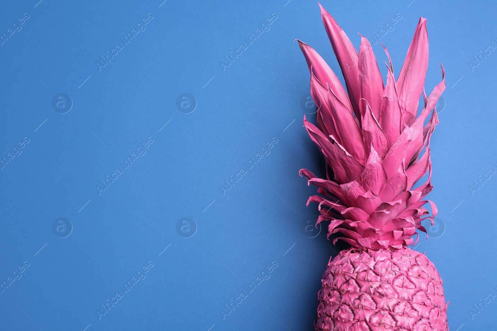 Photo of Pink pineapple on blue background, top view with space for text. Creative concept