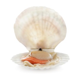 Photo of Fresh raw scallop with shell isolated on white