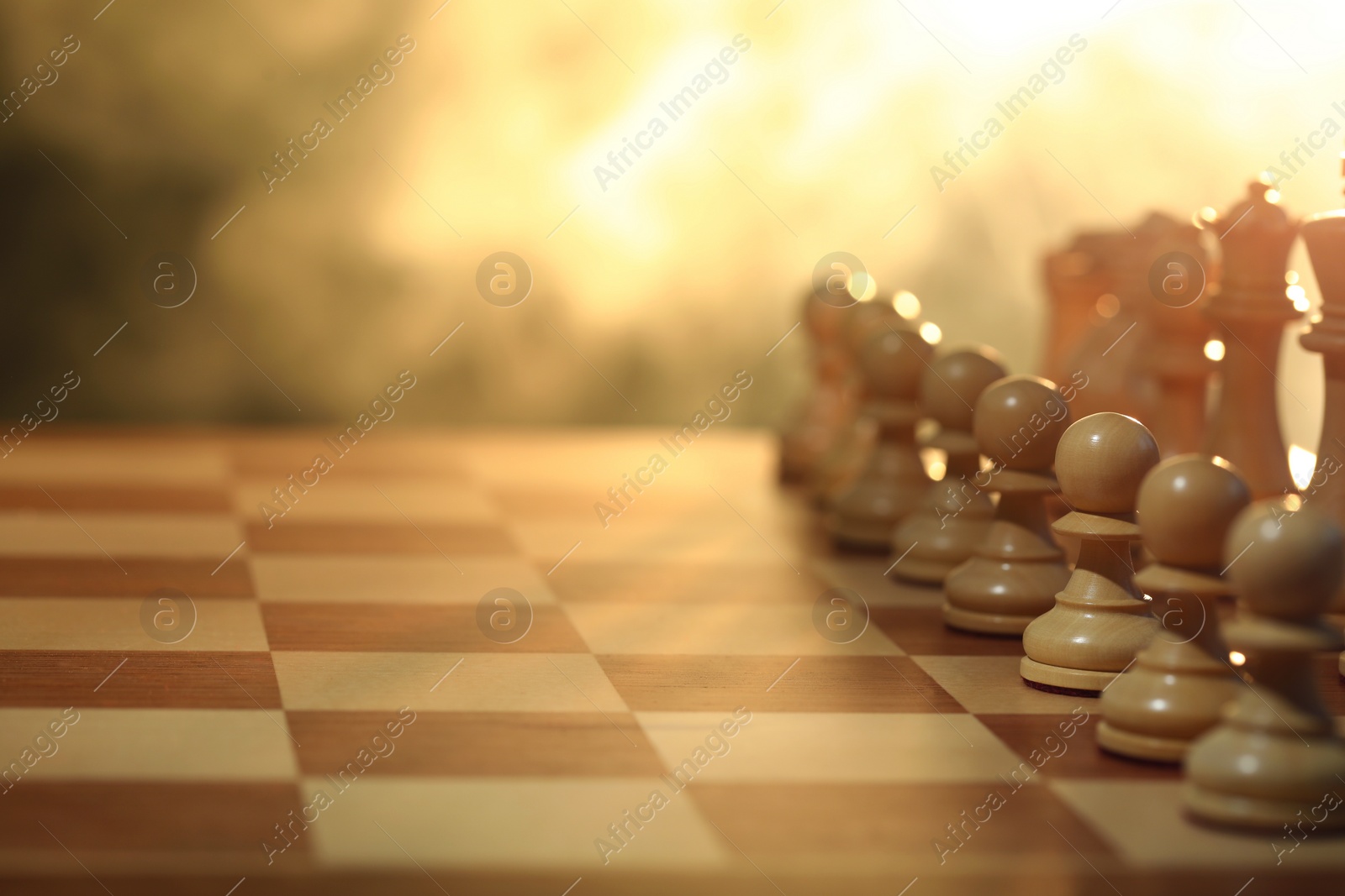 Photo of Wooden chess pieces on checkerboard before game, selective focus. Space for text