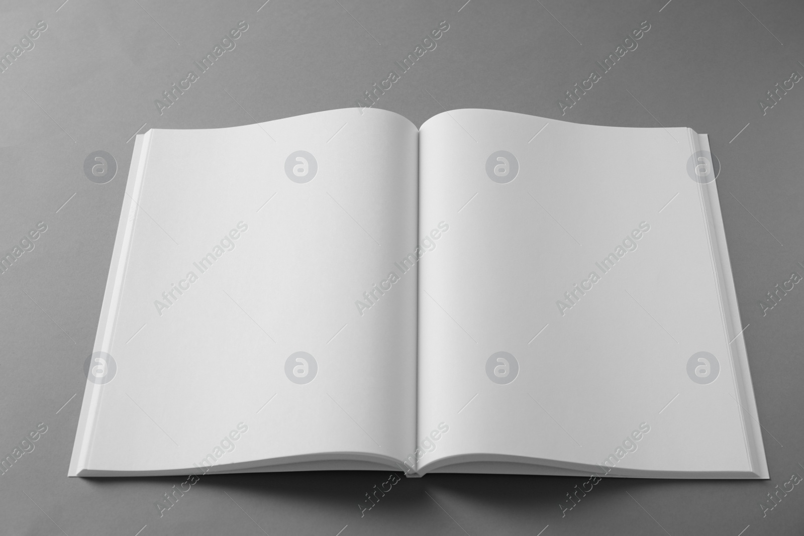 Photo of Open blank brochure on light grey background