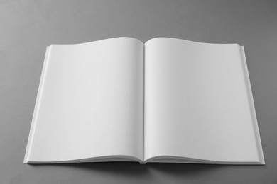 Photo of Open blank brochure on light grey background