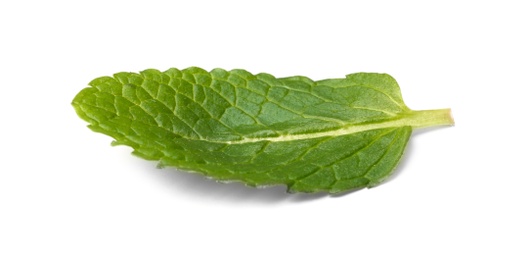 Leaf of fresh mint isolated on white