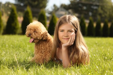 Beautiful girl with cute Maltipoo dog on green lawn in park