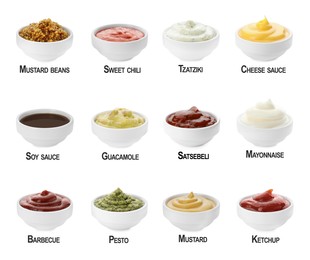 Image of Different sauces in bowls and names isolated on white, set