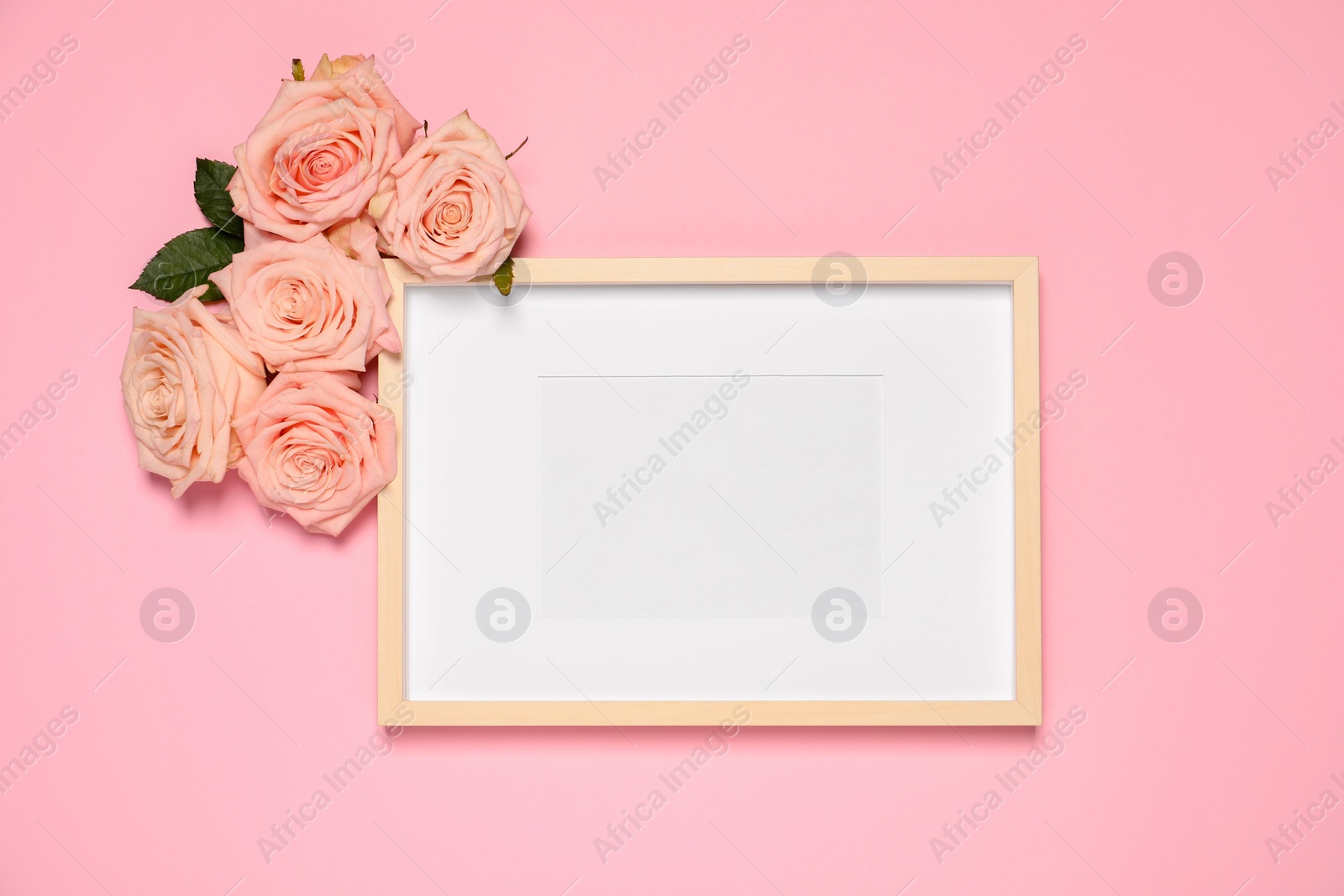 Photo of Empty photo frame and beautiful roses on pink background, flat lay. Mockup for design