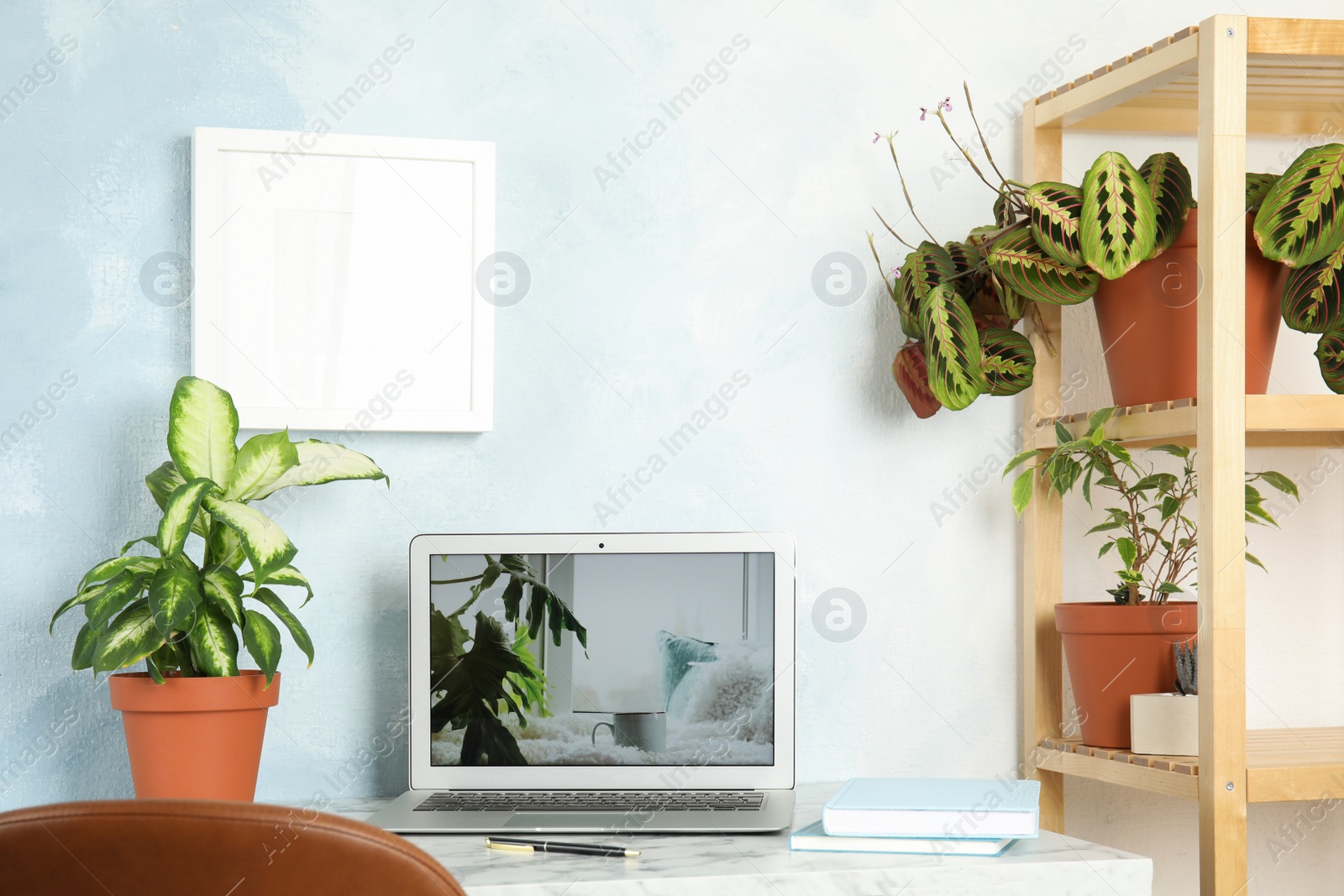 Photo of Houseplants and laptop on table in office interior