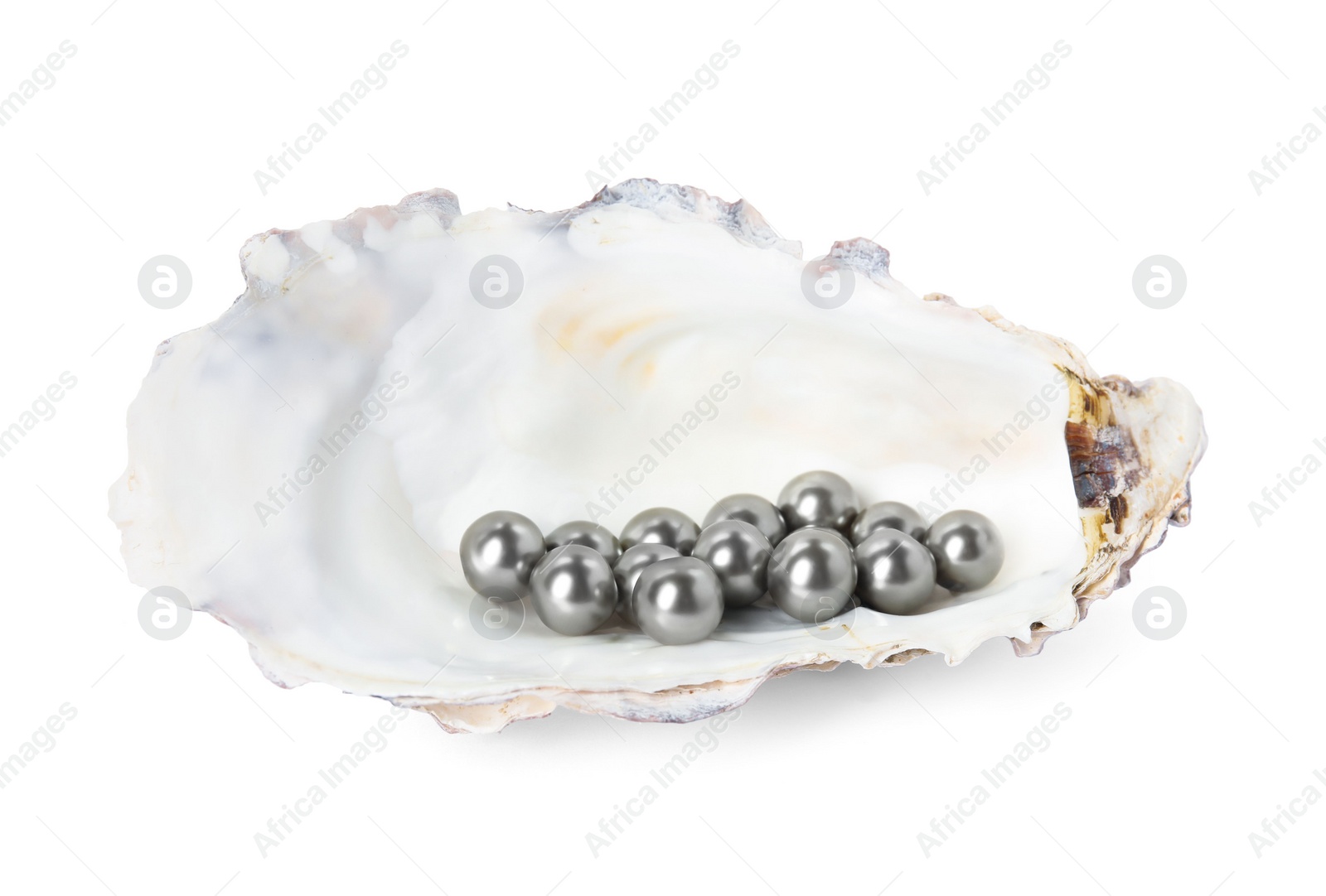 Photo of Oyster shell with black pearls on white background