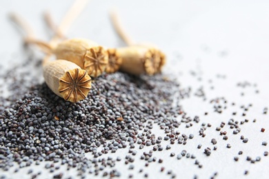 Dry poppy heads and seeds on grey background, closeup