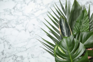 Flat lay composition with tropical leaves and space for text on marble background