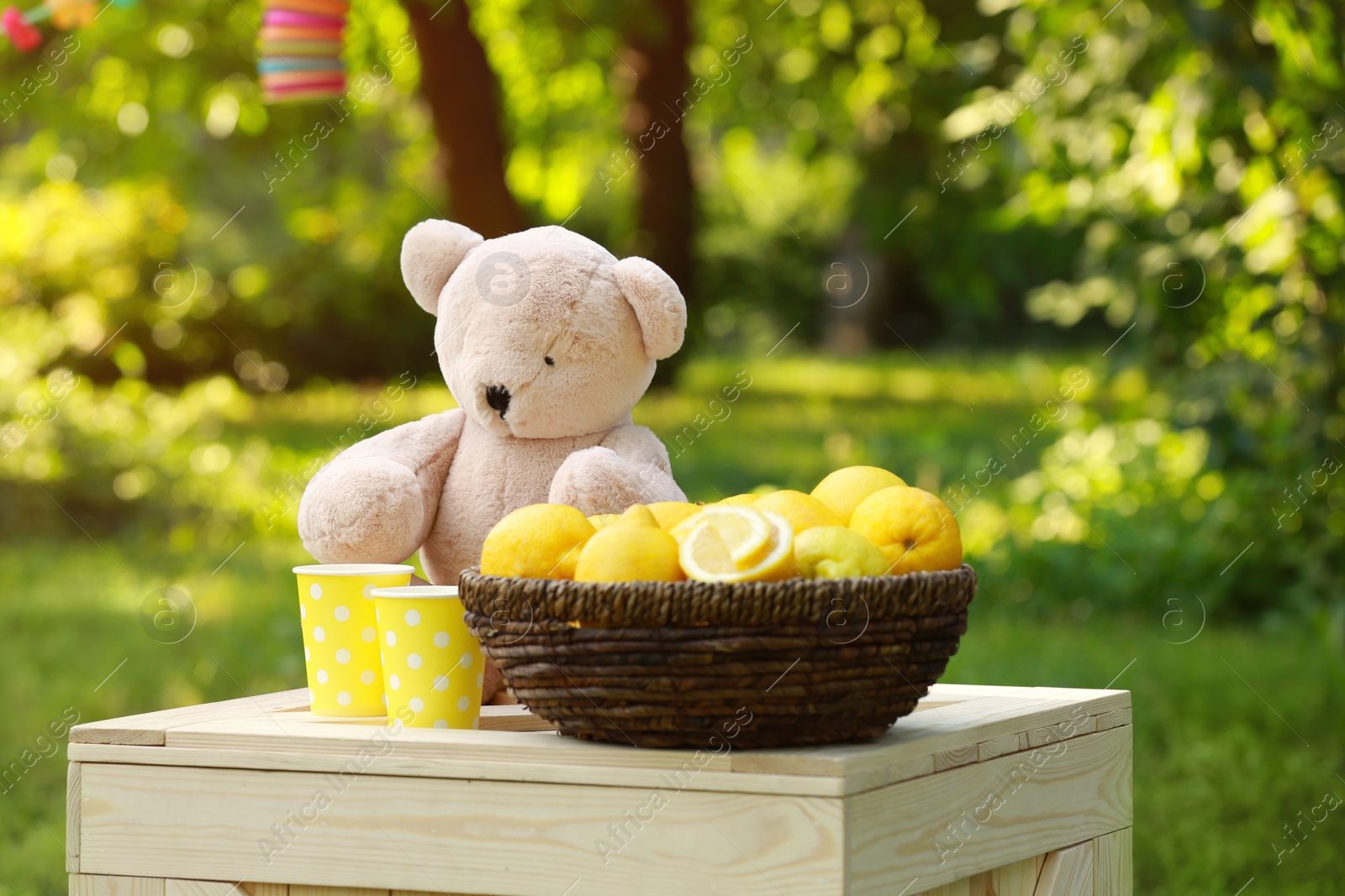 Photo of Decorated lemonade stand in park. Summer refreshing natural drink