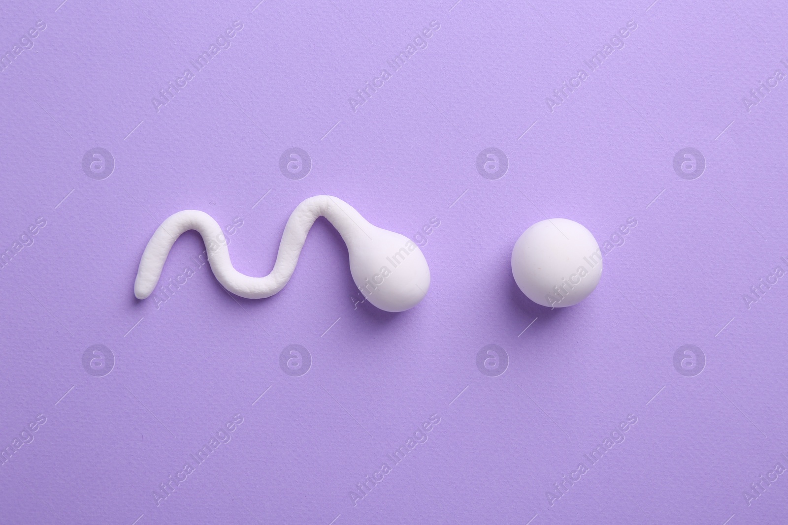 Photo of Fertilization concept. Sperm and egg cells on violet background, top view