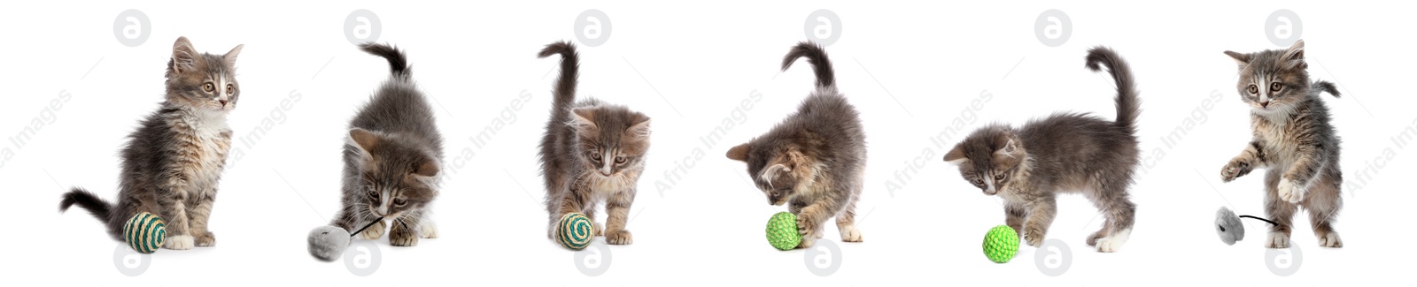 Image of Adorable kittens playing with toys on white background, collage. Lovely pet 