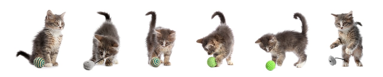 Image of Adorable kittens playing with toys on white background, collage. Lovely pet 