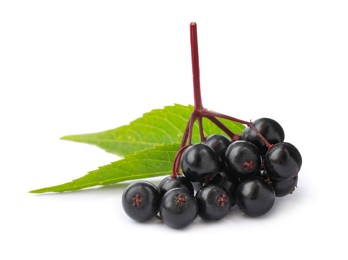 Photo of Delicious ripe black elderberries with green leaves isolated on white