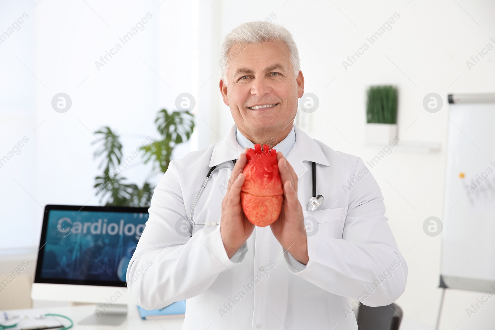 Photo of Male doctor holding heart model in clinic. Cardiology center
