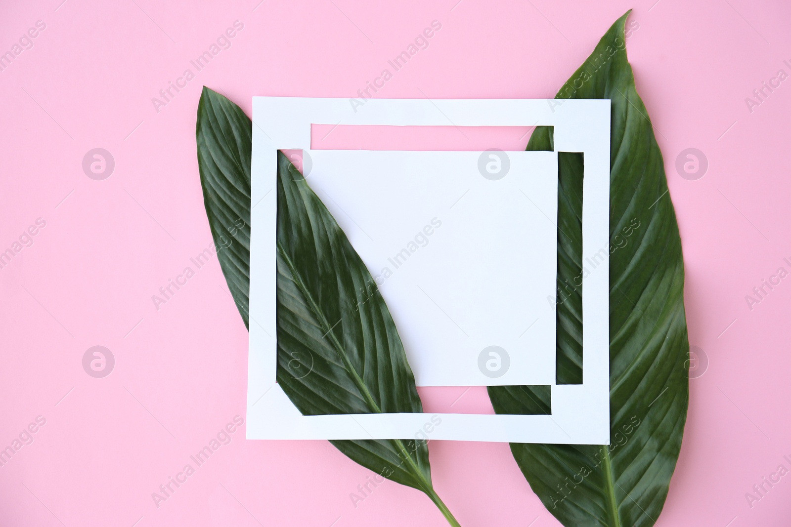 Photo of Beautiful composition with tropical leaves on color background, top view