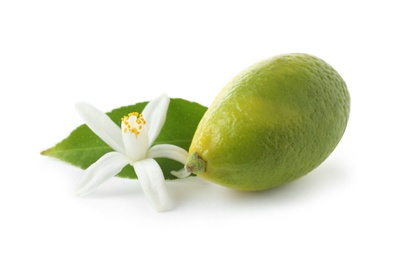 Ripe citrus fruit and flower on white background