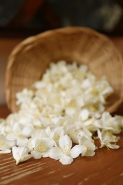 Photo of Beautiful white jasmine flowers on wooden table, closeup. Space for text