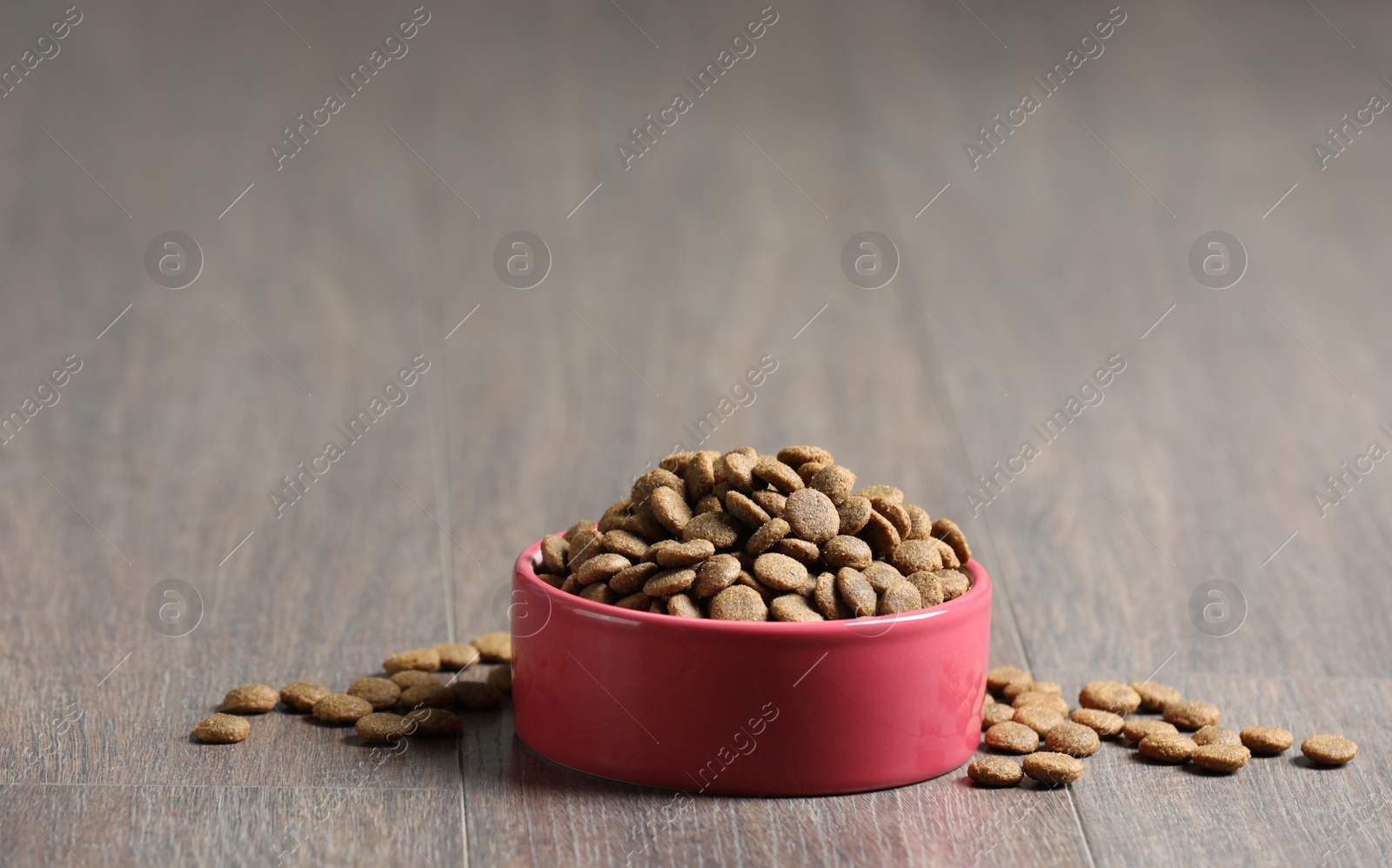 Photo of Bowl with dry dog food on wooden floor indoors