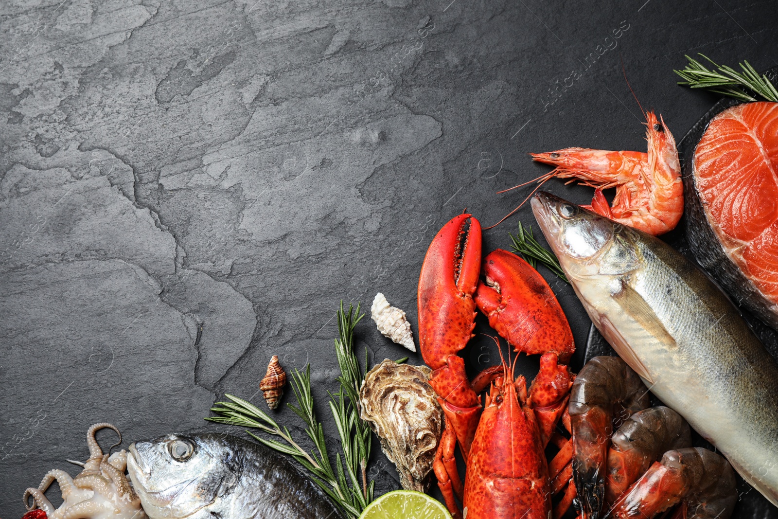 Photo of Fresh fish and different seafood on black table, flat lay. Space for text