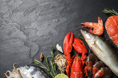 Photo of Fresh fish and different seafood on black table, flat lay. Space for text