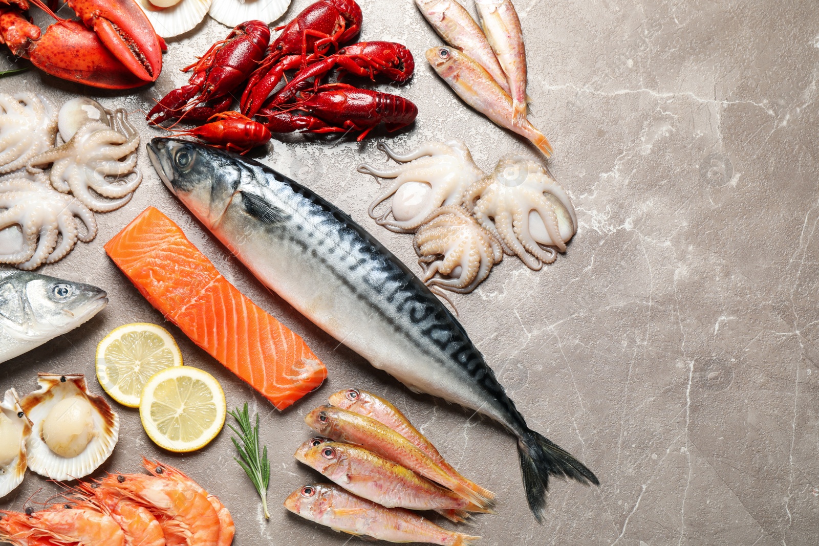 Photo of Fresh fish and seafood on marble table, flat lay