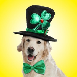 Image of St. Patrick's day celebration. Cute Golden Retriever dog with leprechaun hat and green bow tie on yellow background