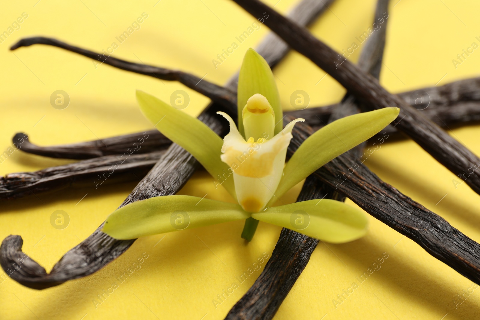 Photo of Vanilla pods and beautiful flower on yellow background, closeup