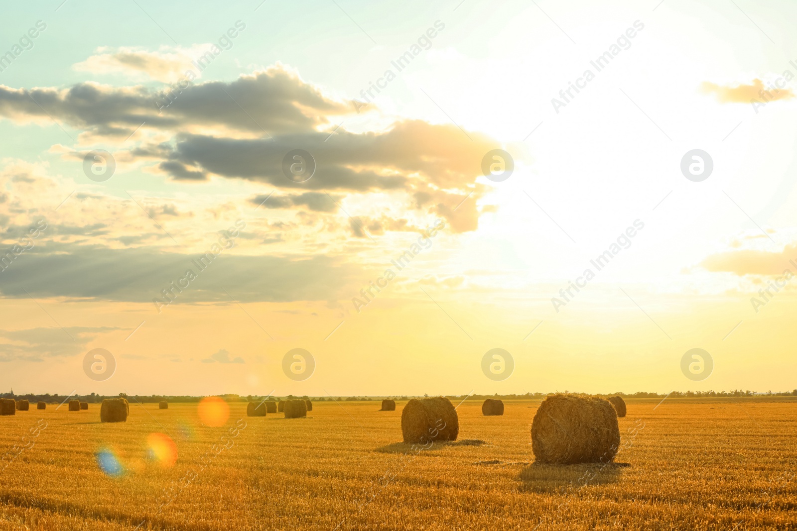 Photo of Beautiful view of agricultural field with hay bales