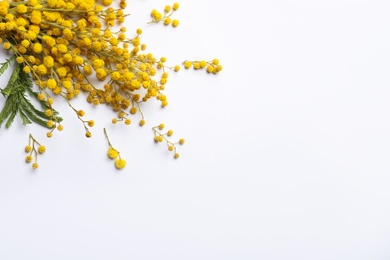 Beautiful mimosa flowers on white background, top view