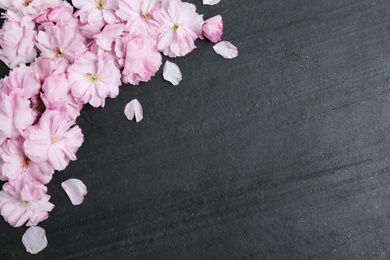 Photo of Beautiful sakura blossom on slate background, space for text. Japanese cherry