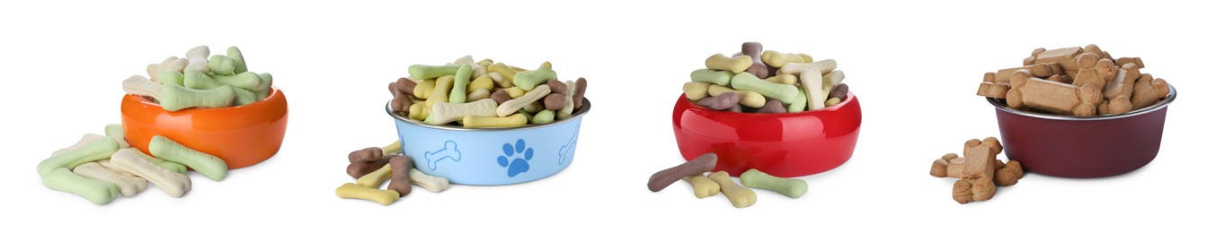 Image of Set of different bone shaped dog cookies in feeding bowls on white background. Banner design