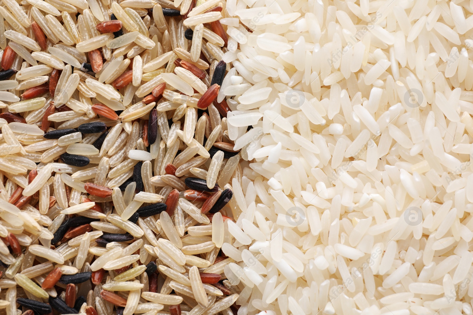 Photo of Brown and polished rice as background, top view