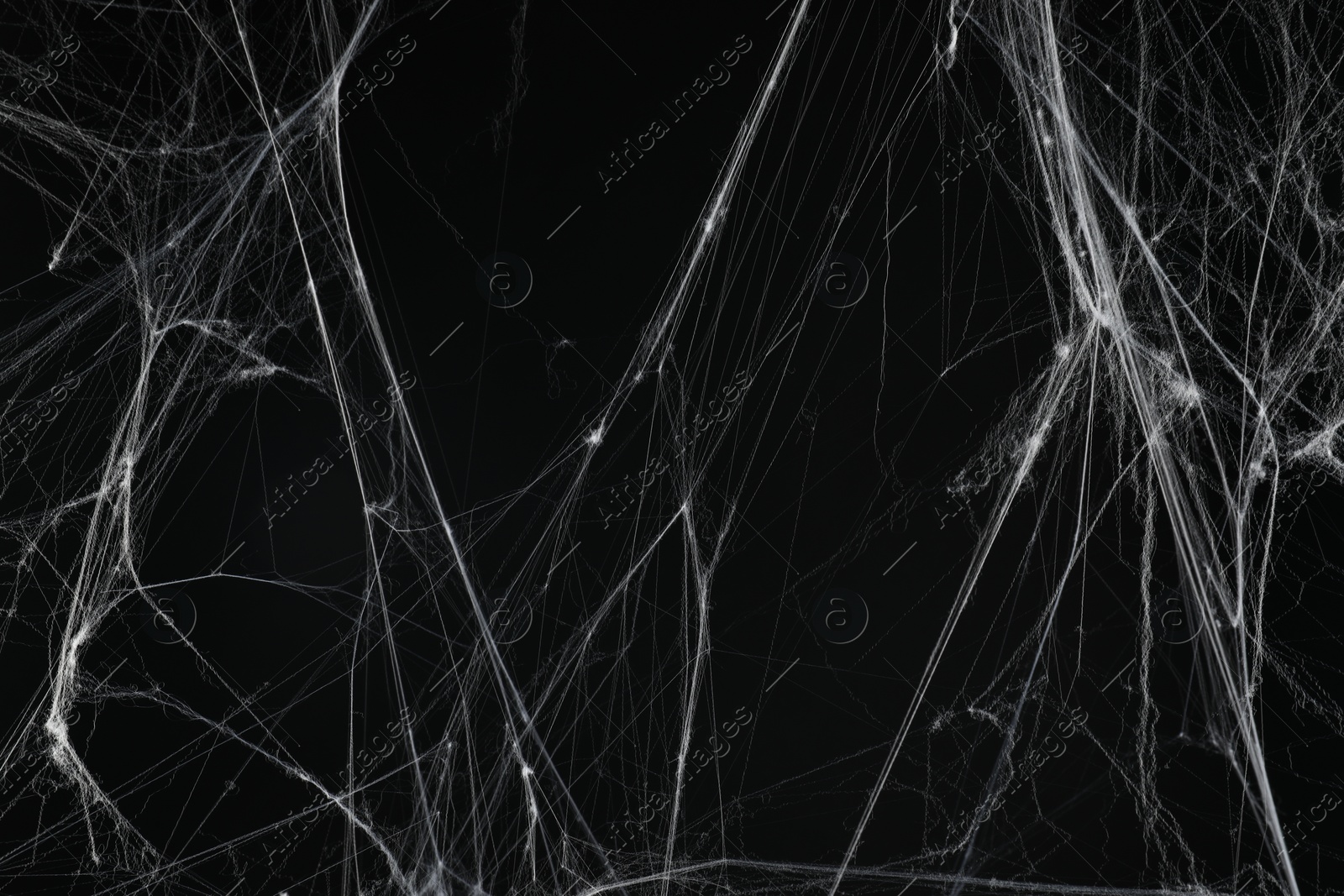 Photo of Creepy white spider web on black background