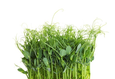 Fresh organic microgreen on white background, closeup